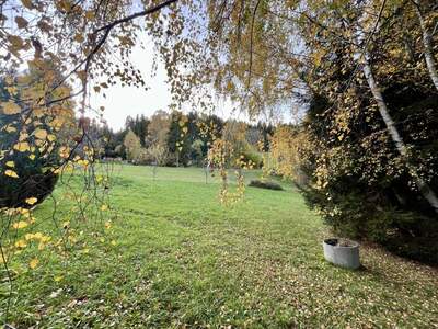 Grundstück kaufen in 8162 Passail (Bild 3)