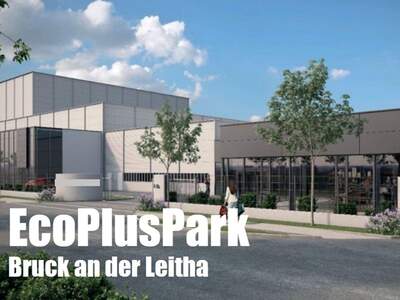 Gewerbeobjekt kaufen in 2460 Bruck an der Leitha (Bild 3)