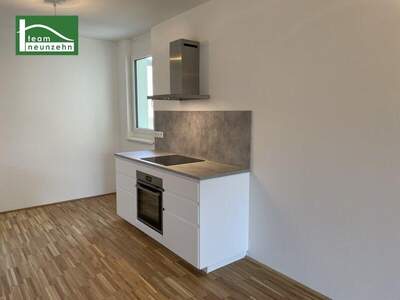 Terrassenwohnung mieten in 1230 Wien (Bild 3)