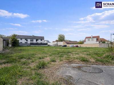 Grundstück kaufen in 2481 Achau (Bild 4)