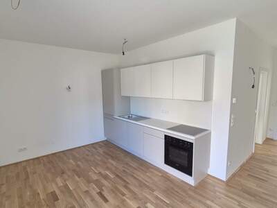 Terrassenwohnung mieten in 8461 Ehrenhausen (Bild 2)
