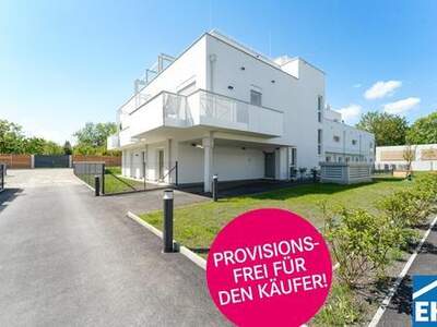 Anlageobjekt kaufen in 2344 Maria Enzersdorf