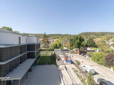 Wohnung kaufen in 2340 Mödling