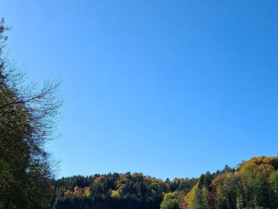 Wohnung mieten in 8383 Sankt Martin (Bild 2)