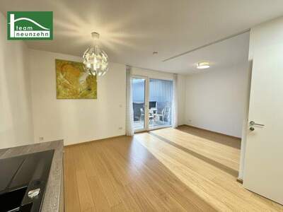 Terrassenwohnung kaufen in 1220 Wien (Bild 1)