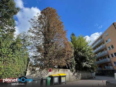 Terrassenwohnung kaufen in 5020 Salzburg (Bild 3)