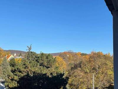 Wohnung kaufen in 1190 Wien