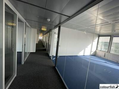 Gewerbeobjekt mieten in 1220 Wien (Bild 3)