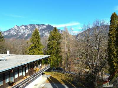 Terrassenwohnung kaufen in 2651 Reichenau (Bild 1)