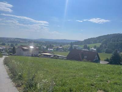 Grundstück kaufen in 7551 Stegersbach (Bild 3)