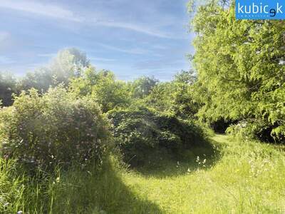 Grundstück kaufen in 2231 Strasshof