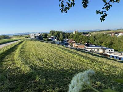 Eigentumswohnung in 4502 Sankt Marien (Bild 4)