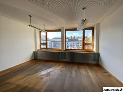 Gewerbeobjekt mieten in 1010 Wien (Bild 5)