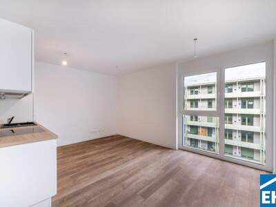 Terrassenwohnung mieten in 8020 Graz (Bild 1)