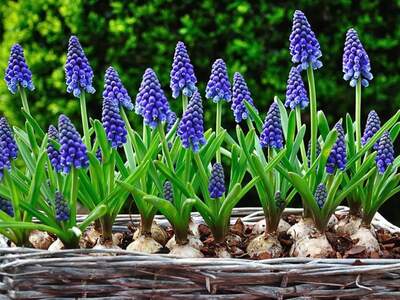 Grundstück kaufen in 3002 Purkersdorf