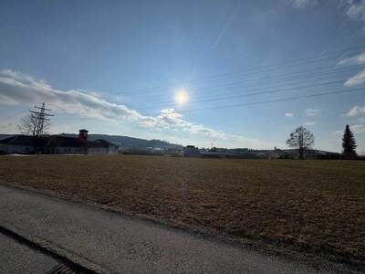 Gewerbeobjekt kaufen in 4150 Rohrbach (Bild 3)