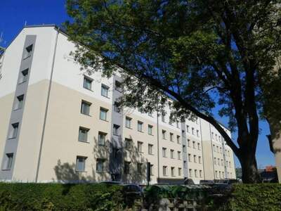 Wohnung mieten in 2700 Wiener Neustadt