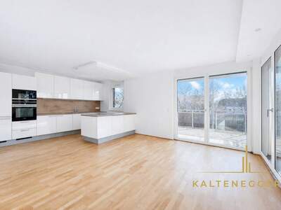 Wohnung mieten in 1100 Wien