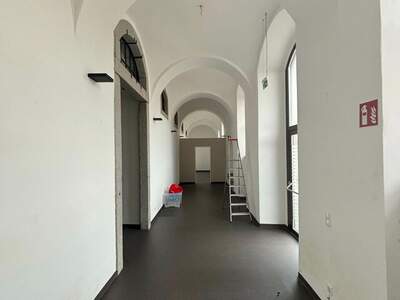 Gewerbeobjekt mieten in 4470 Enns (Bild 3)