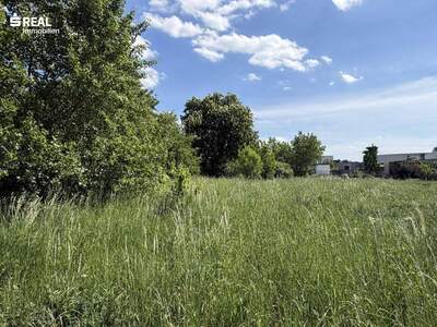 Grundstück kaufen in 7100 Neusiedl