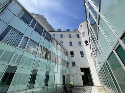 Gewerbeobjekt mieten in 1190 Wien (Bild 3)