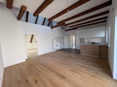 Dachgeschosswohnung mieten in 4523 Neuzeug