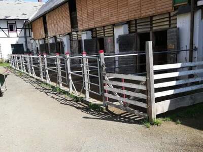 Immobilie mieten in 8732 Seckau (Bild 4)