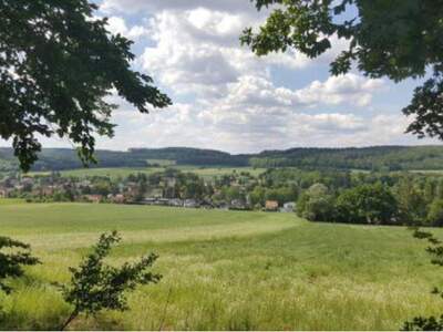Grundstück kaufen in 2500 Siegenfeld
