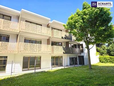 Terrassenwohnung kaufen in 1230 Wien (Bild 5)