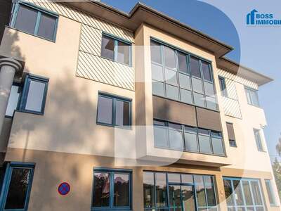 Gewerbeobjekt mieten in 4600 Thalheim