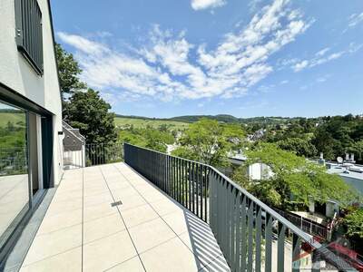 Terrassenwohnung kaufen in 1190 Wien (Bild 1)