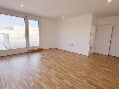 Terrassenwohnung kaufen in 1210 Wien (Bild 3)