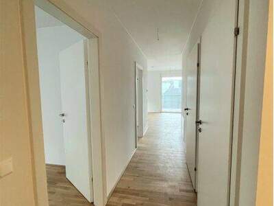 Terrassenwohnung mieten in 3100 St. Pölten (Bild 4)