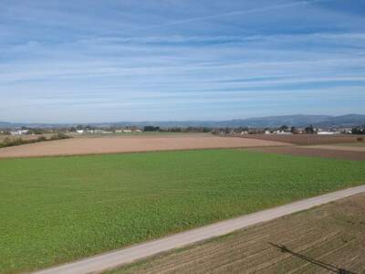 Land- und Forstwirtschaft kaufen in 4072 Alkoven