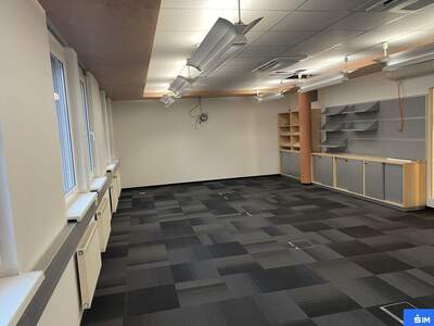 Gewerbeobjekt mieten in 8042 Graz (Bild 5)