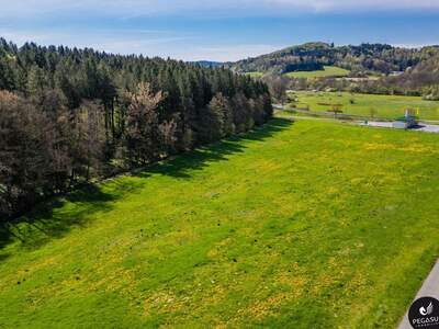 Gewerbeobjekt kaufen in 8333 Riegersburg (Bild 5)