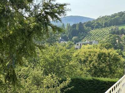 Grundstück kaufen in 1190 Wien (Bild 1)