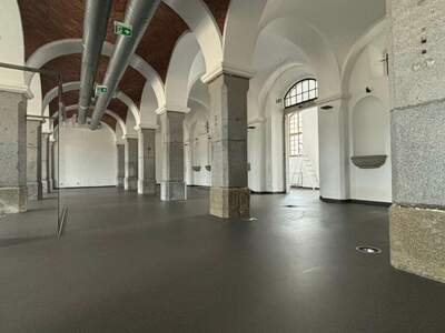 Gewerbeobjekt mieten in 4470 Enns (Bild 1)