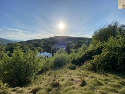 Grundstück kaufen in 2372 Gießhübl