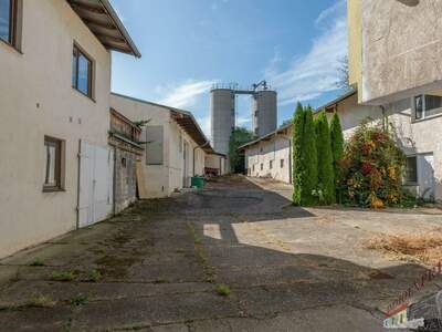 Einfamilienhaus kaufen in 2020 Groß (Bild 2)