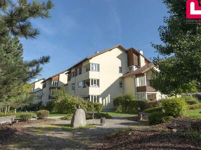 Wohnung mieten in 4560 Kirchdorf (Bild 2)