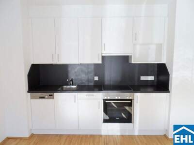 Terrassenwohnung mieten in 1120 Wien (Bild 2)