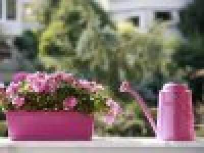 Wohnung mieten in 9472 Ettendorf