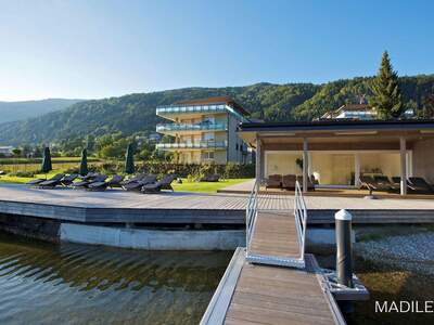 Gewerbeobjekt kaufen in 9552 Steindorf (Bild 4)