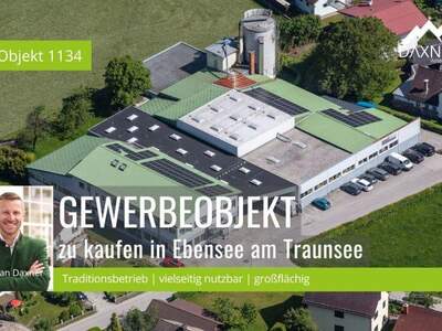 Halle / Lager / Produktion kaufen in 4802 Ebensee