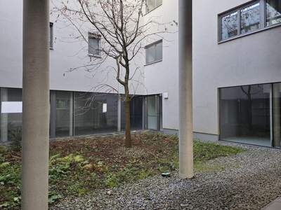 Gewerbeobjekt mieten in 4201 Gramastetten (Bild 5)