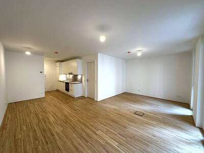 Anlageobjekt kaufen in 1220 Wien