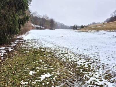 Gewerbeobjekt kaufen in 3233 Rametzberg