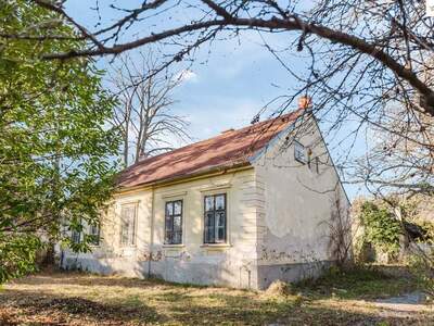 Haus kaufen in 2823 Pitten