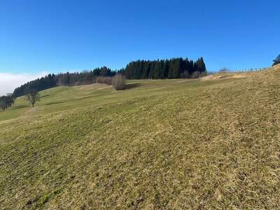 Gewerbeobjekt kaufen in 3353 Seitenstetten